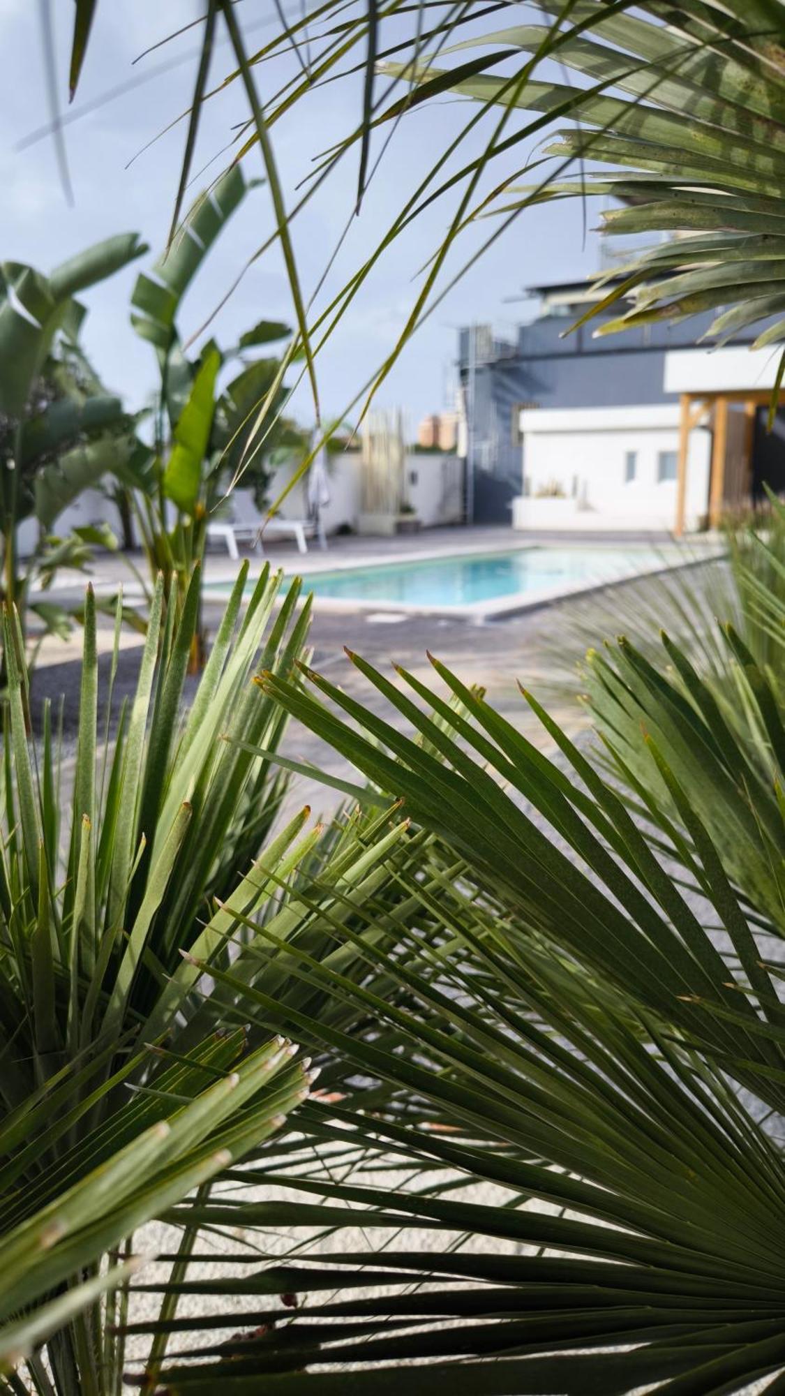 Vistamare Beach Garden Relax San Leone Bagian luar foto